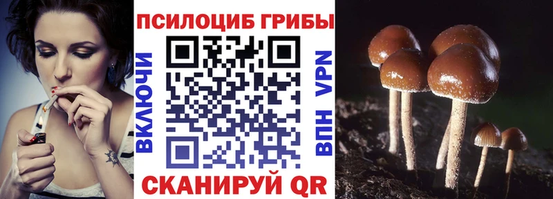 мориарти официальный сайт  где купить наркоту  Ханты-Мансийск  Галлюциногенные грибы Cubensis 